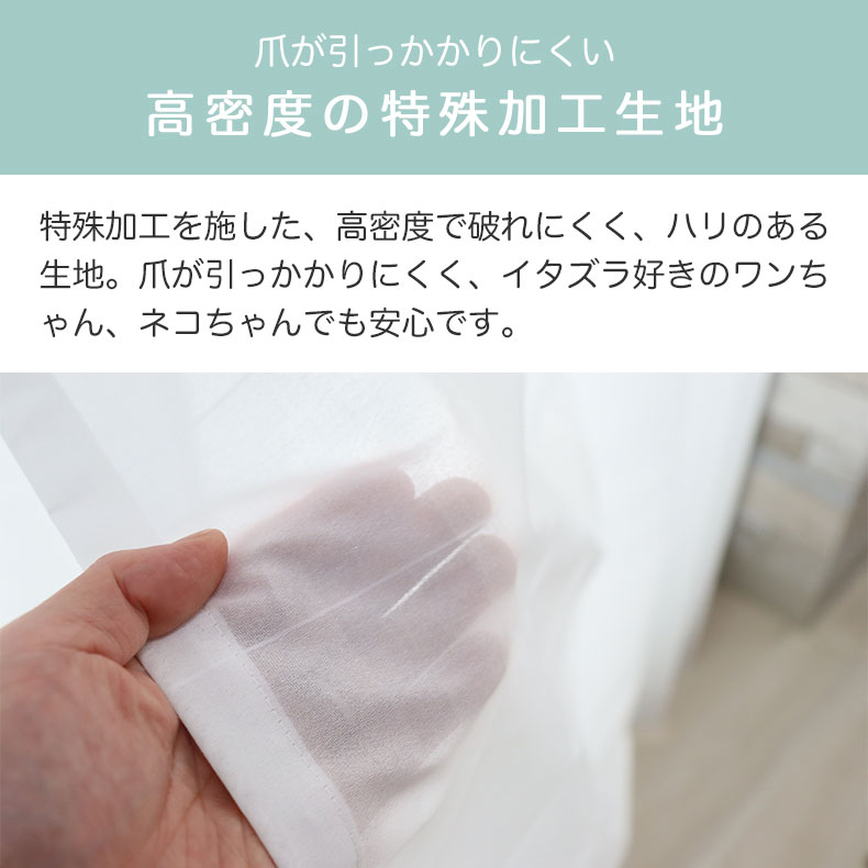 レースカーテン（薄地） ネコヒッカカラナイボイル
