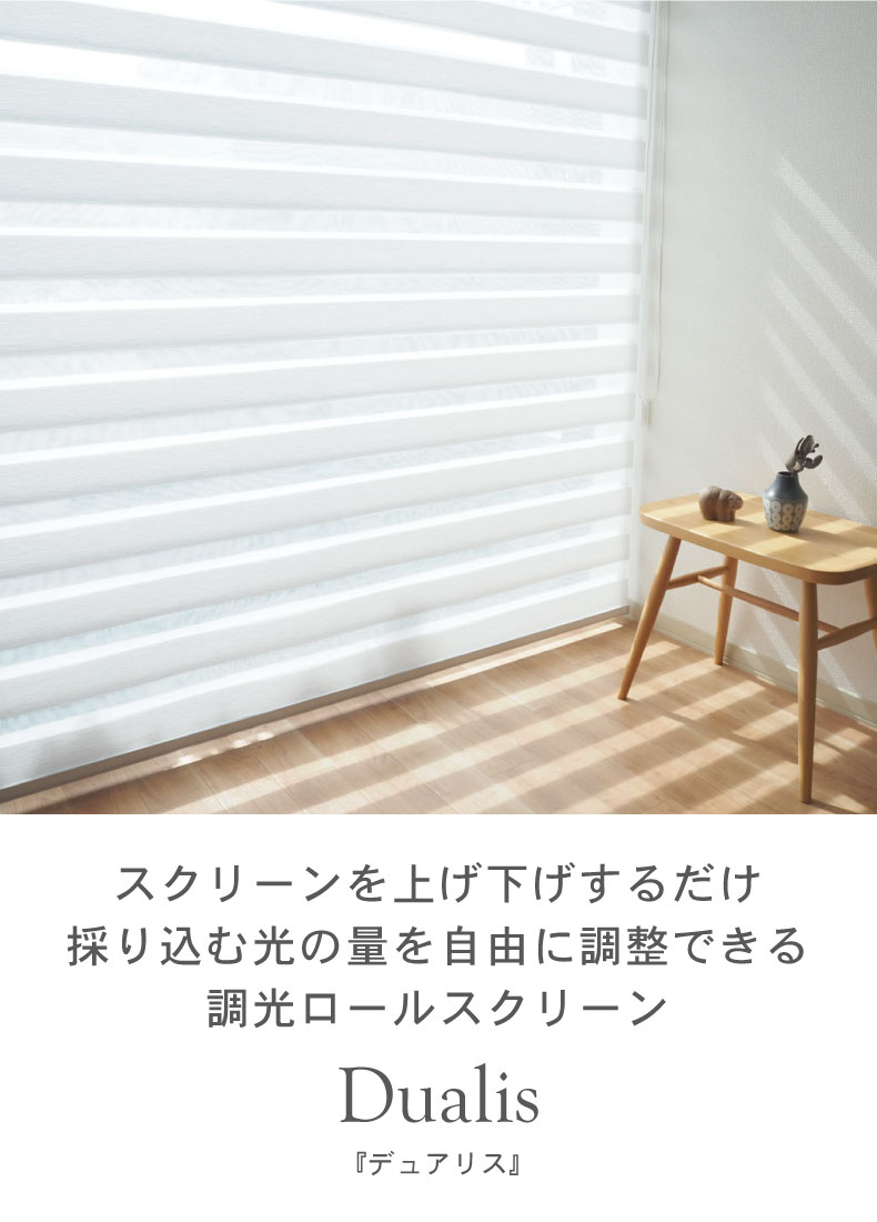調光 ロールスクリーン デュアリス