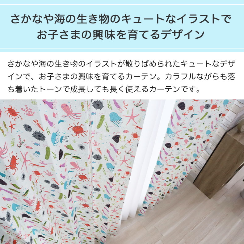 ドレープカーテン（厚地） ウミノイキモノズカン