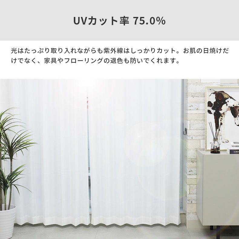 レースカーテン（薄地） PLC1357
