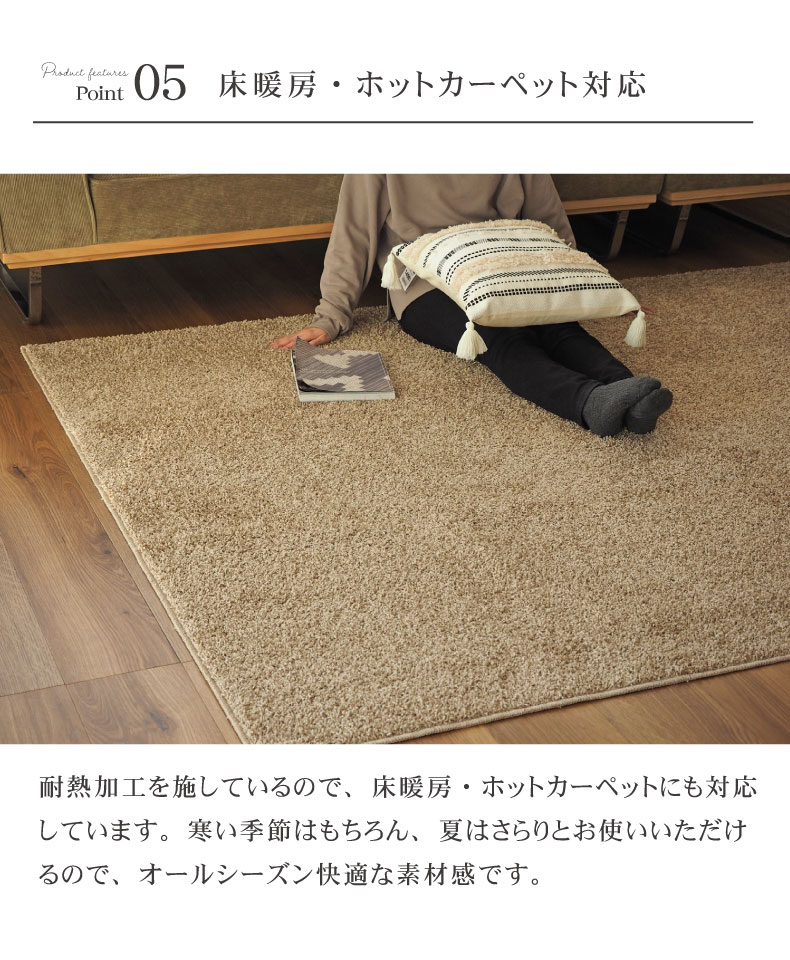 ラグ ウォッシュ2の機能