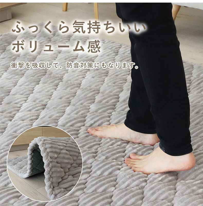 160円形 蓄熱ラグ フェリスの機能