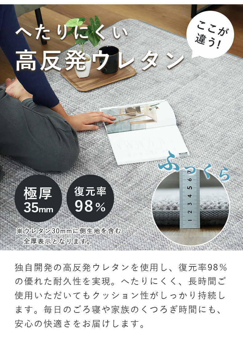 ラグ ゴロリの機能