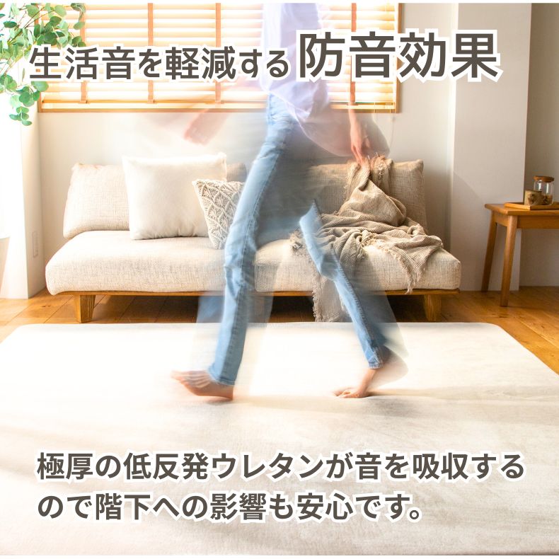 ラグ はっ水ロジャーの機能