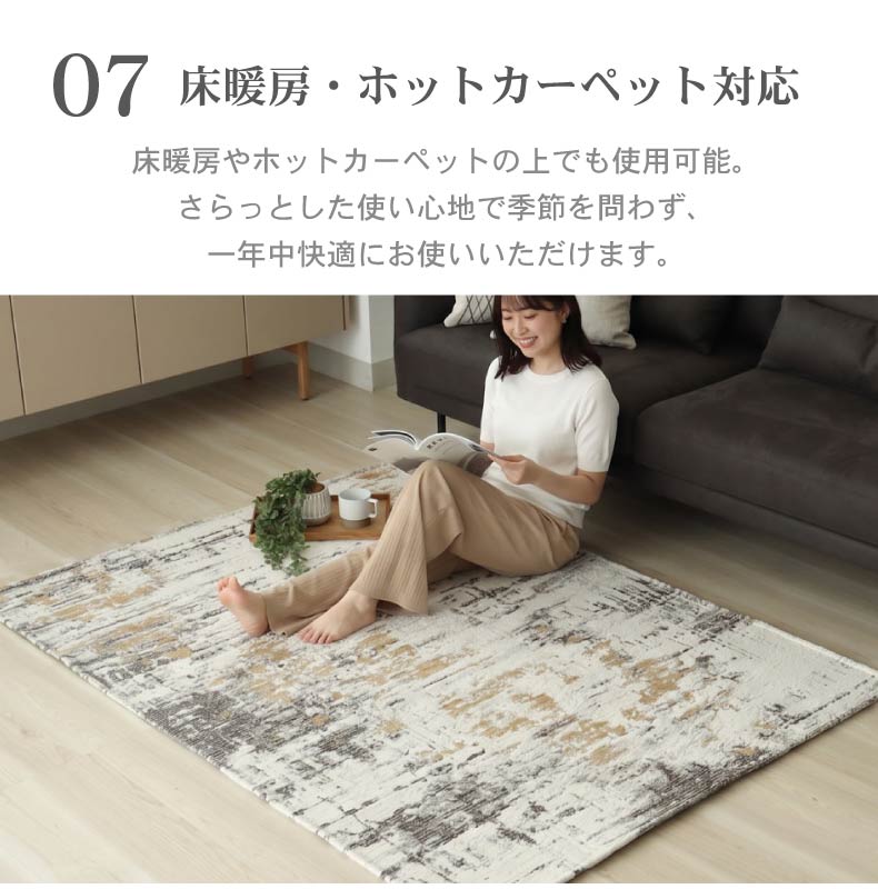 シェニールラグ アクシスの機能