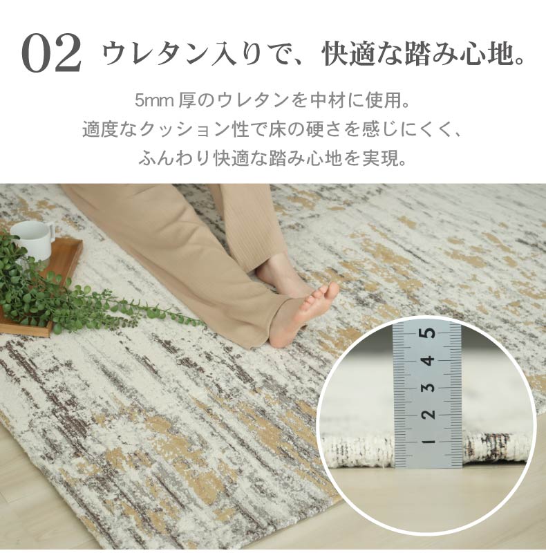 シェニールラグ アクシスの機能