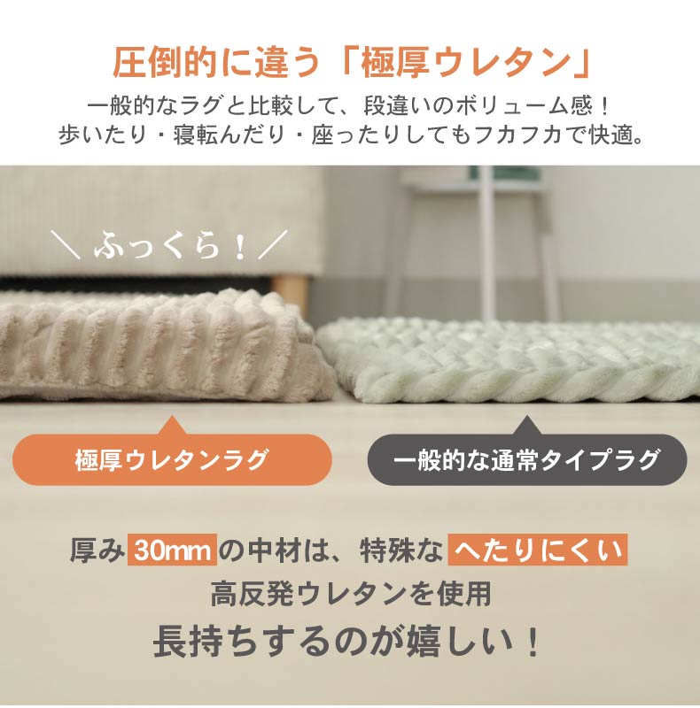 ラグパッド専用カバー フェリスの機能