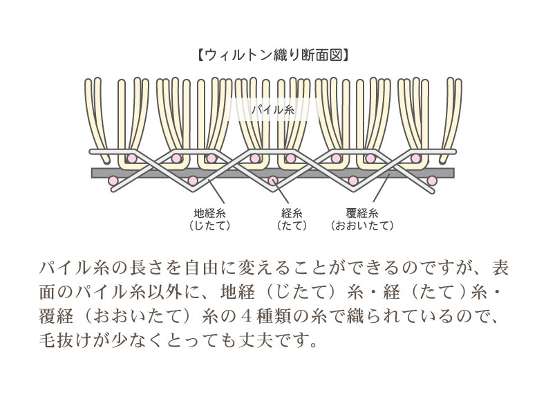 ウィルトンラグ ミケの機能