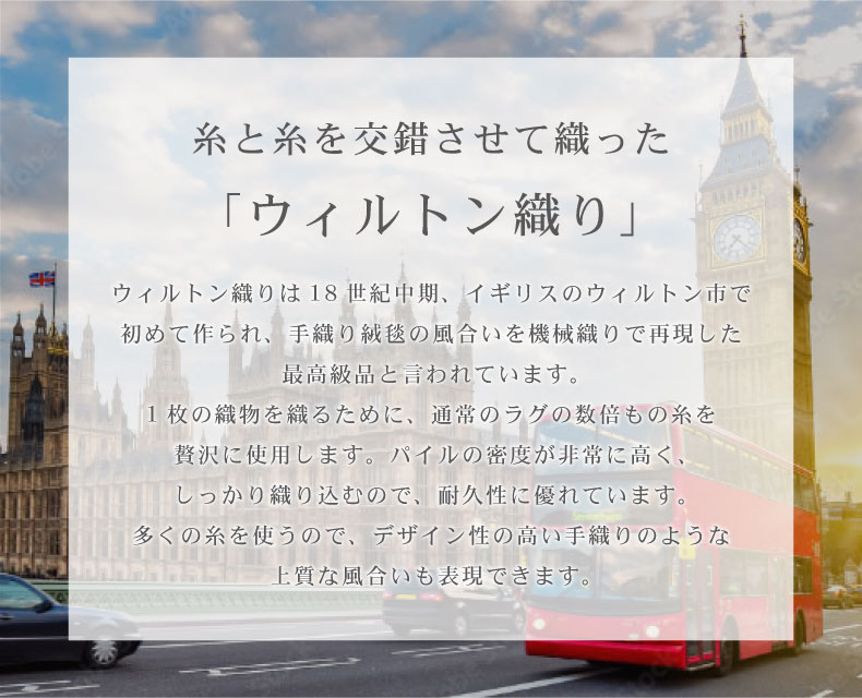 ウィルトンラグ サーシャの機能