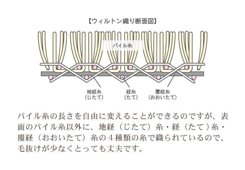 ウィルトンラグ マルナの機能