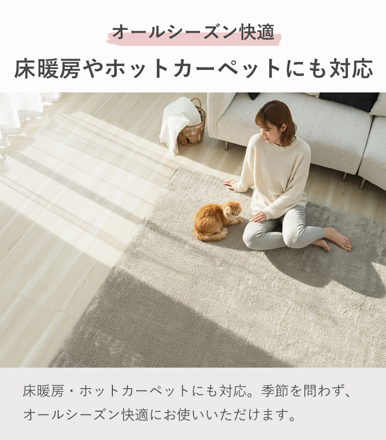 ラグ Mラスターの機能