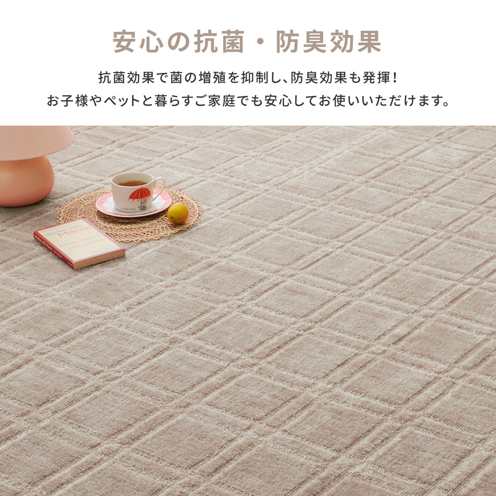 カーペット シオンの機能