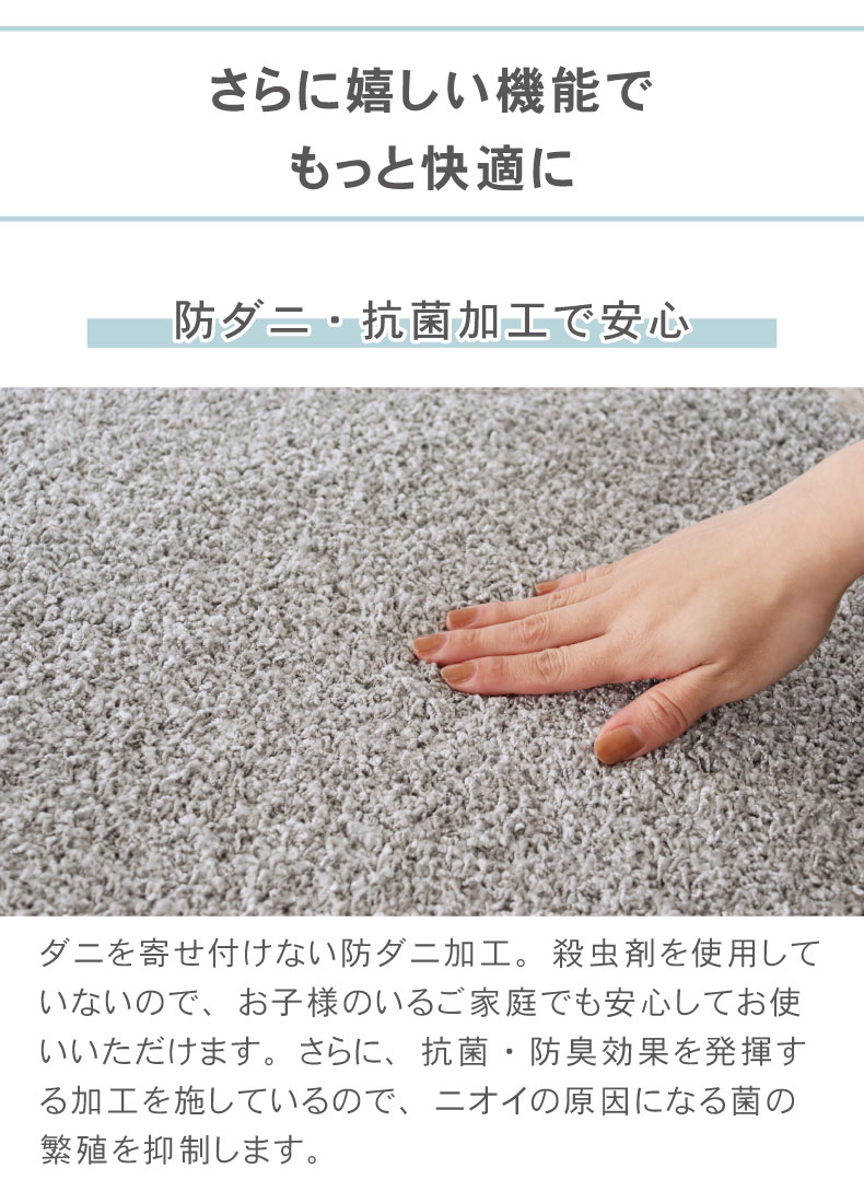 ナイロンラグ ジャスパー（江戸間サイズ）の機能