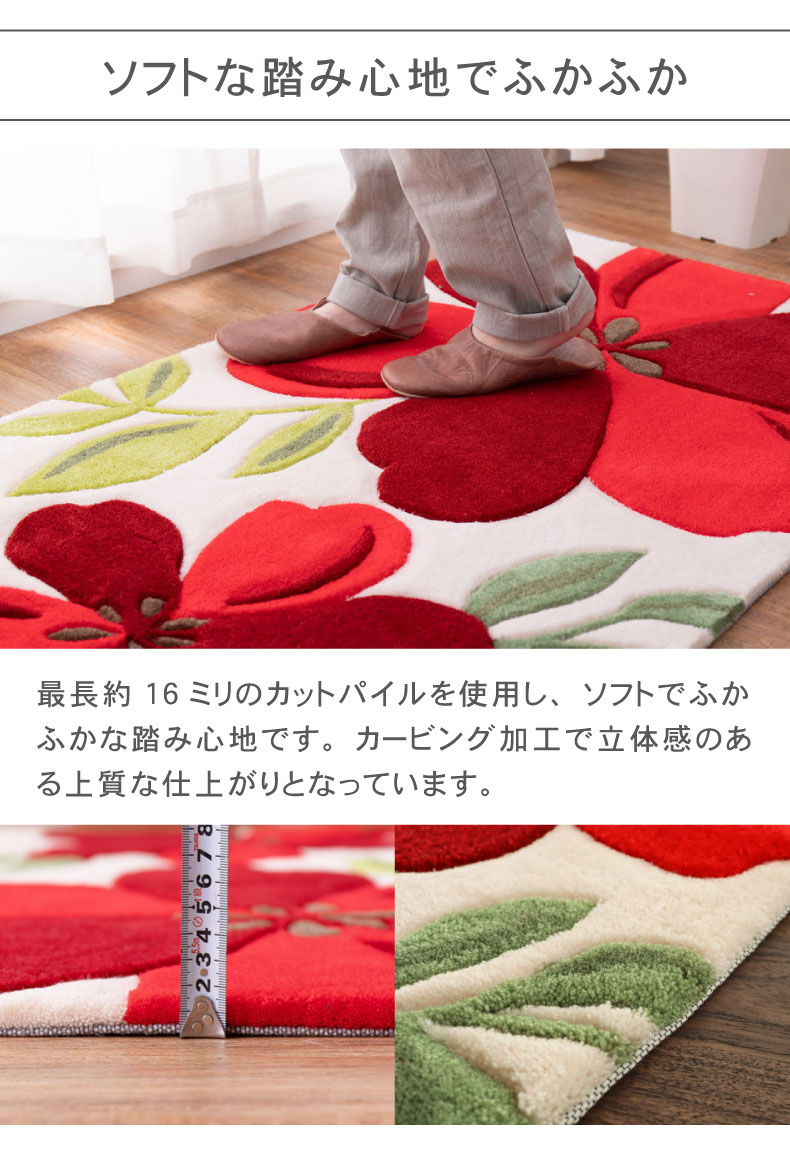 50ｘ80cm 玄関マットアベルの機能