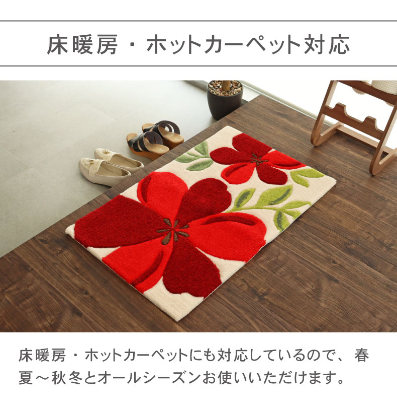50ｘ80cm 玄関マットアベルの機能