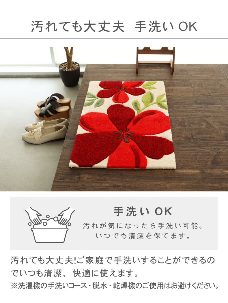 50ｘ80cm 玄関マットアベルの機能