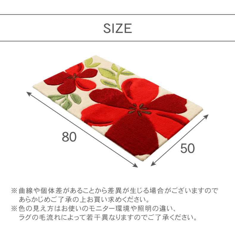 50ｘ80cm 玄関マットアベルのサイズ1
