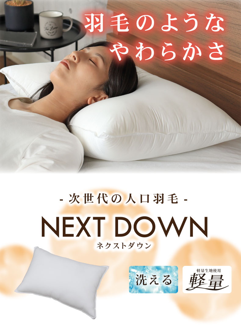 次世代 枕 ネクストダウン2
