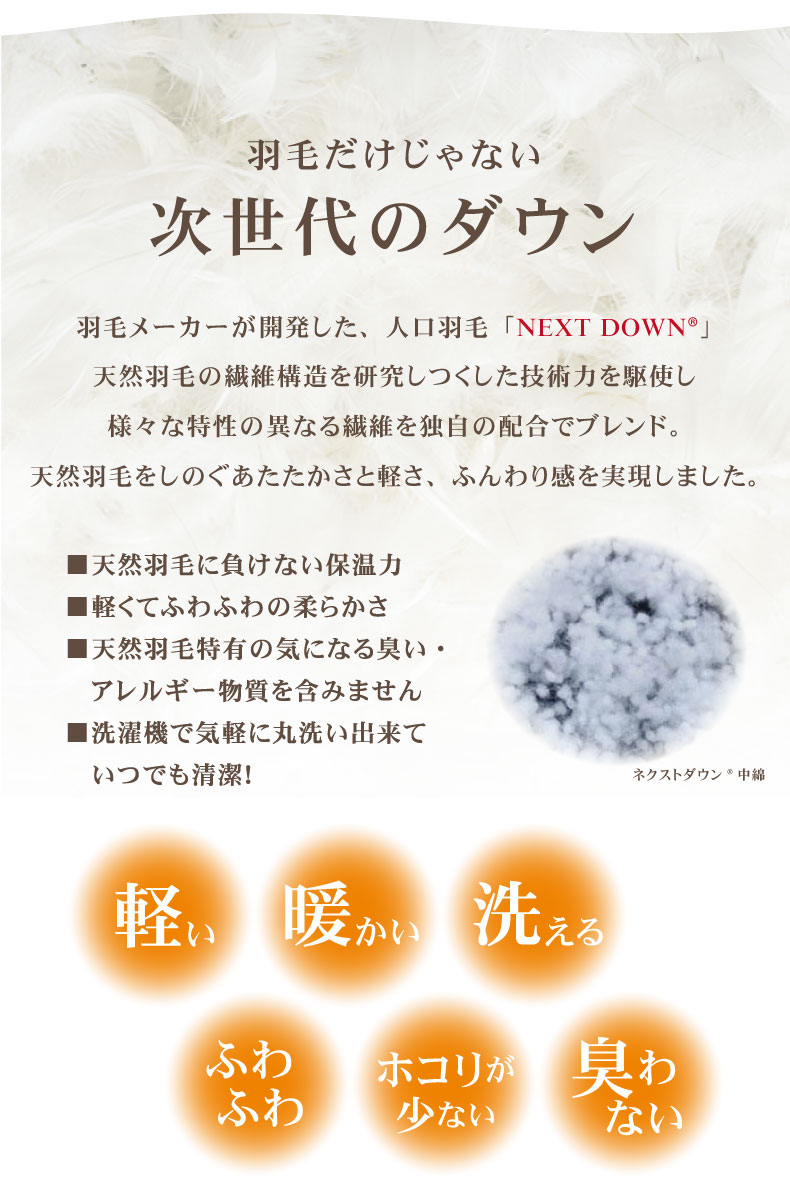 次世代 枕 ネクストダウン2の機能