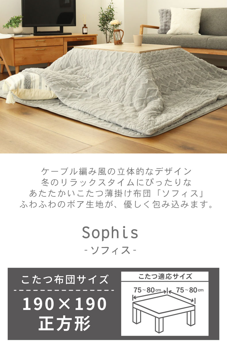 こたつ薄掛布団 ソフィス