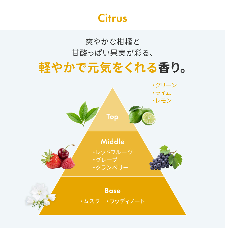 リードディフューザー デコール 2個セットの機能