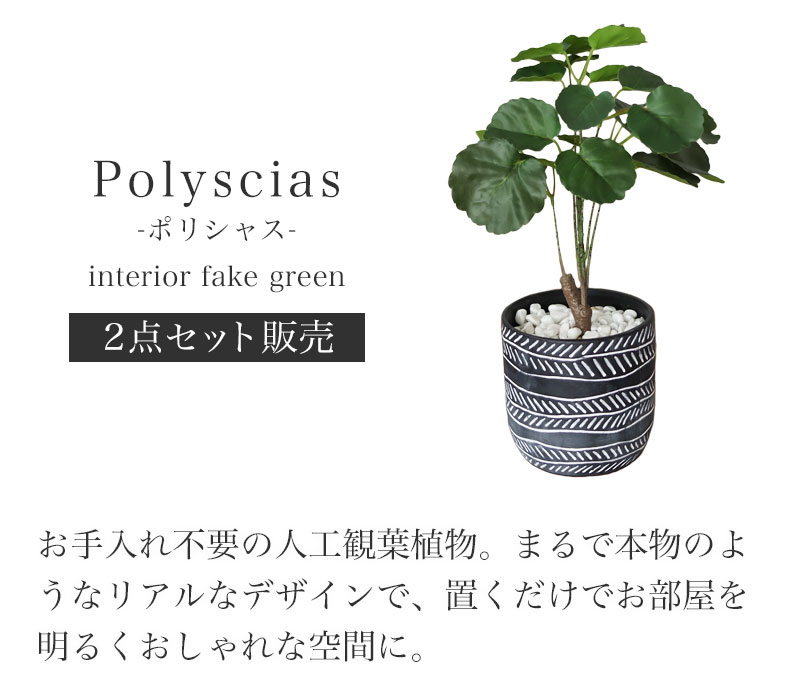ポリシャス セラミックポット2点セット