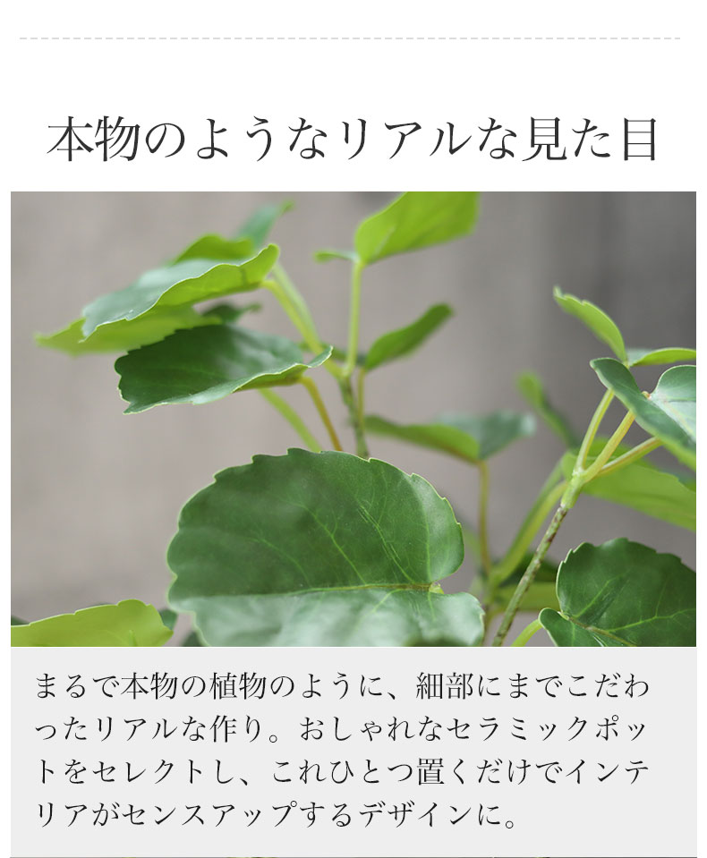 ポリシャス セラミックポット2点セットの機能
