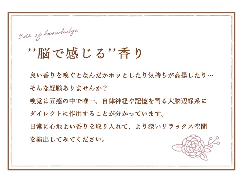 リードディフューザー マリー 2個セットの機能