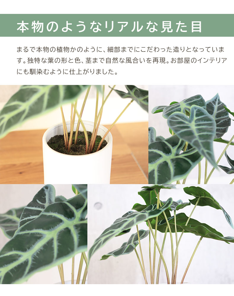 タロ セラミックポットの機能