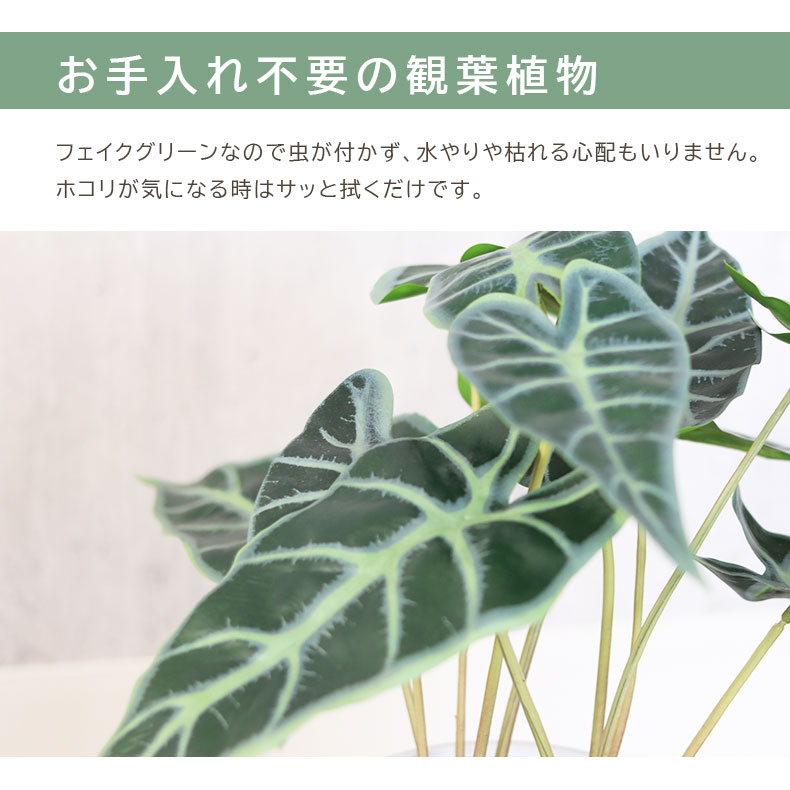タロ セラミックポットの機能