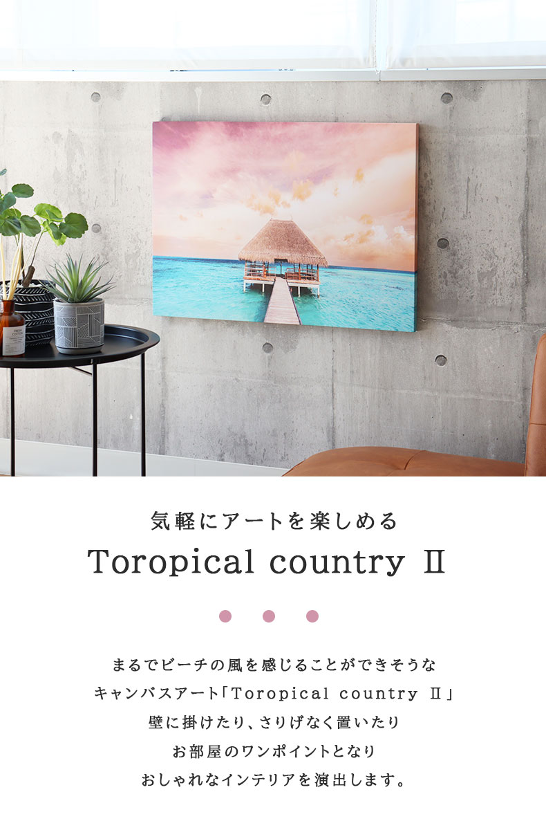 キャンバスアート Tropical country2