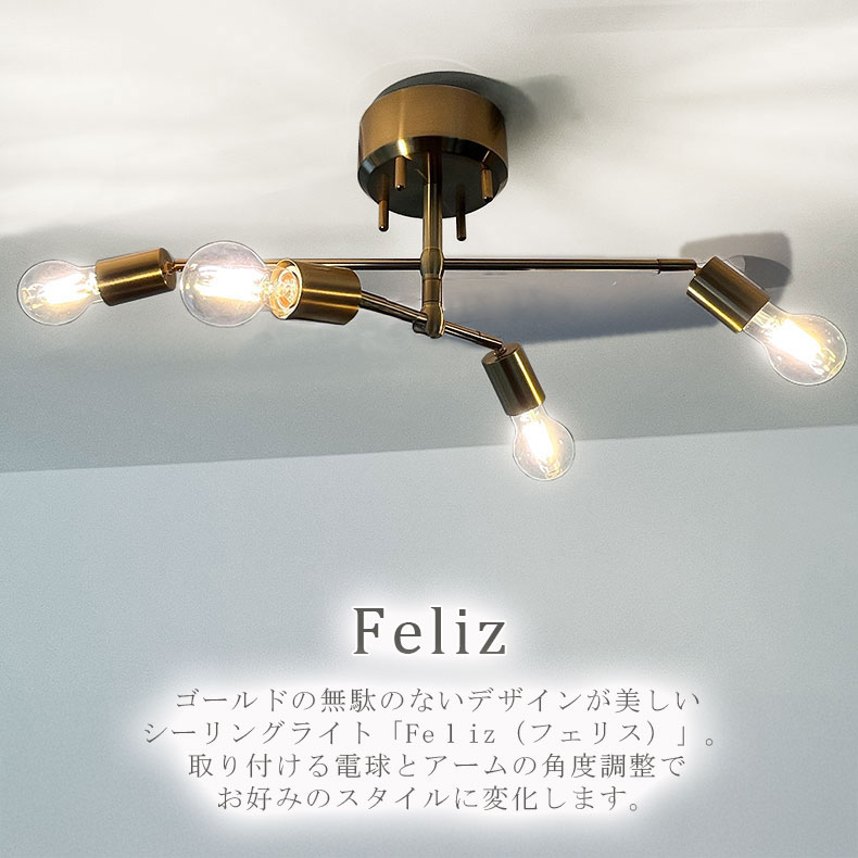 シーリングライト フェリスの機能