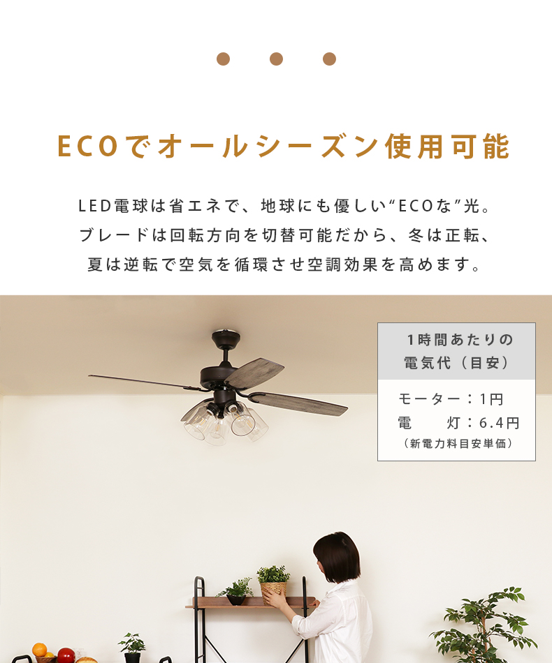 シーリングファン JE-CF027の機能