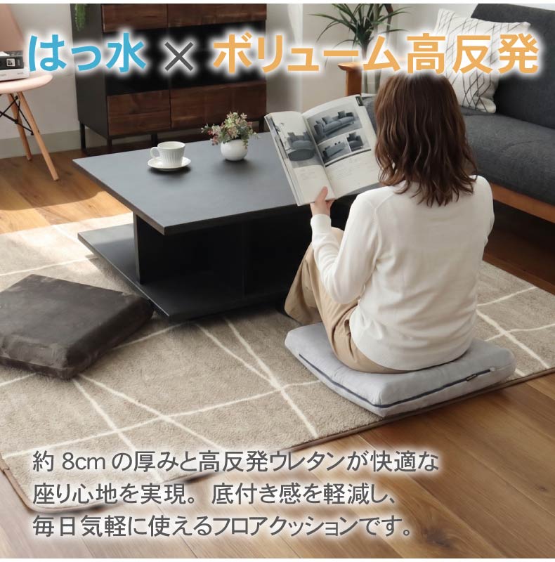 フロアクッション はっ水ロジャー