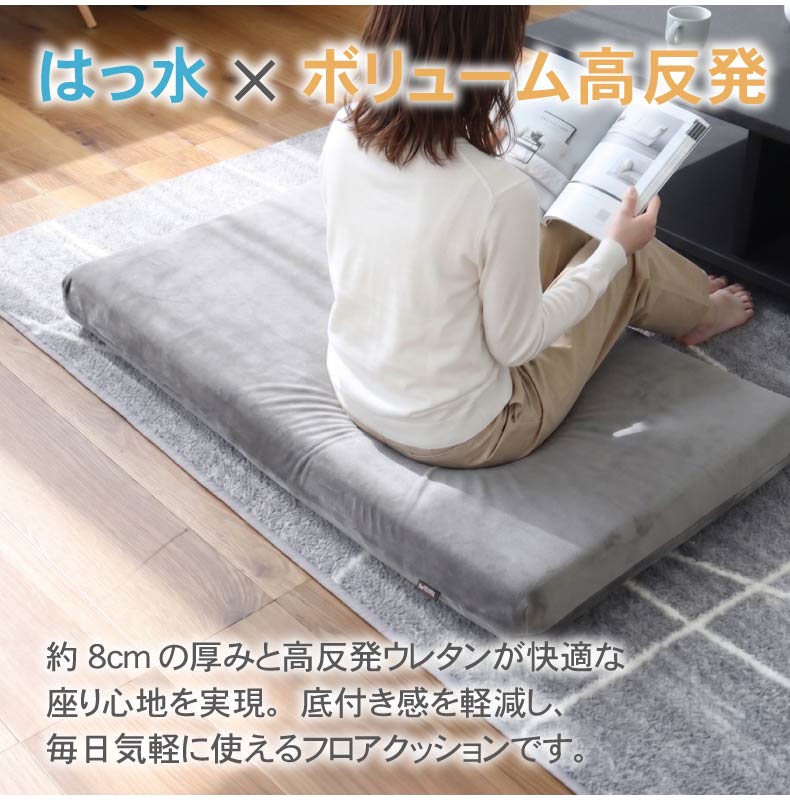 ごろ寝マット はっ水ロジャー