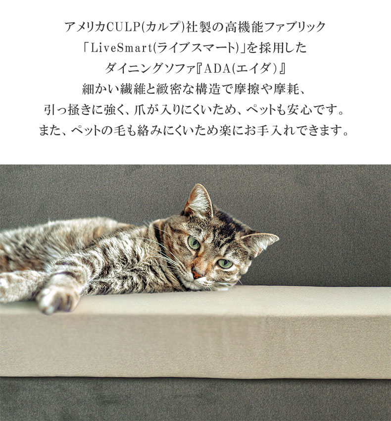 クッション エイダ