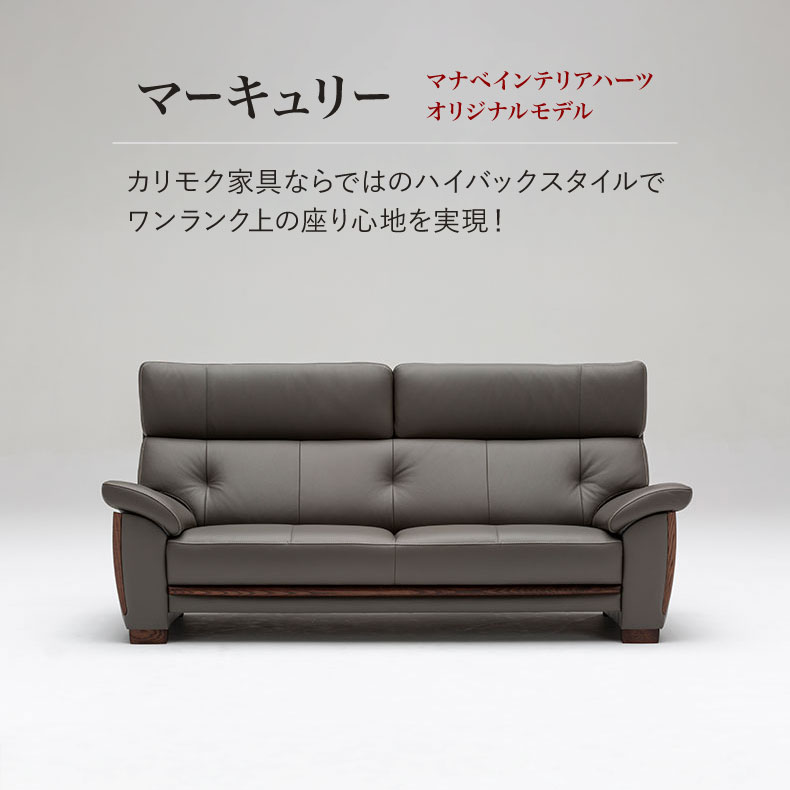 2.5人掛けソファ マーキュリールークの機能