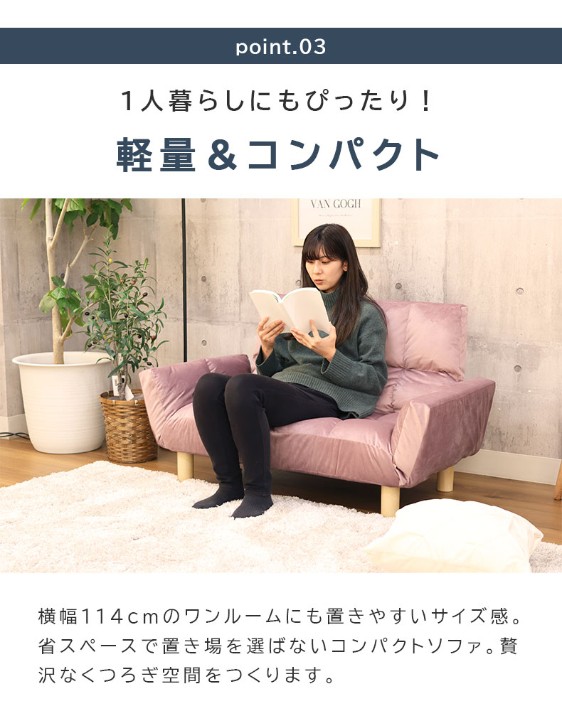 2人掛け カジュアルソファ パッソ2（ベロア）の機能