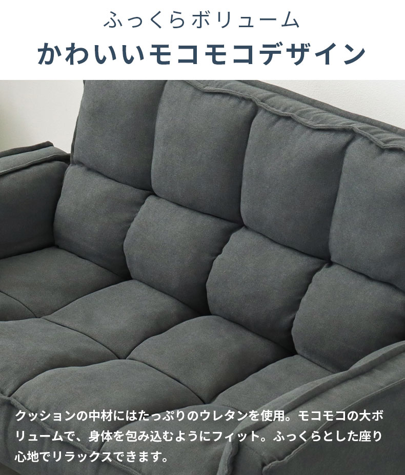 2人掛け カジュアルソファ パッソプラスの機能