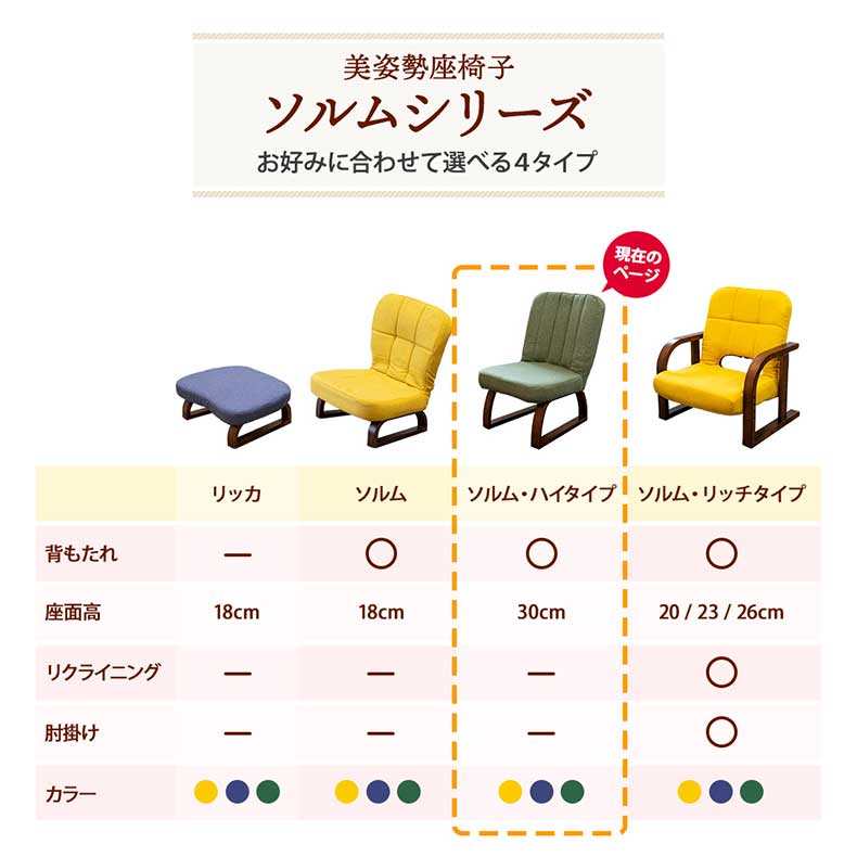 【通販限定】あぐら座椅子ハイタイプ ソルムのカラー