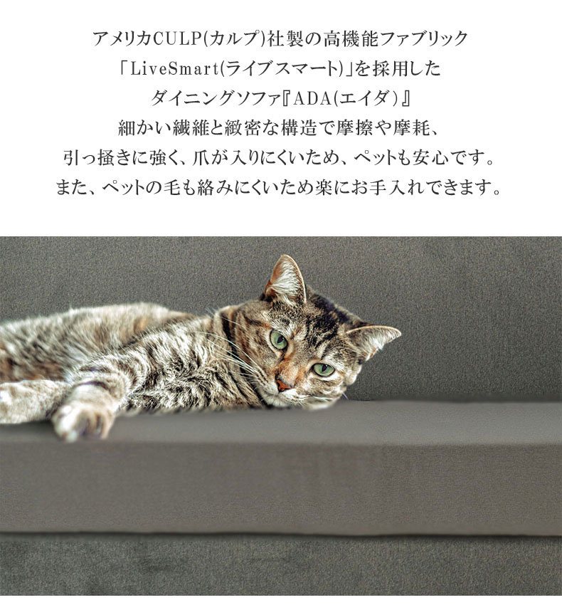 LD 右カウチソファ エイダ