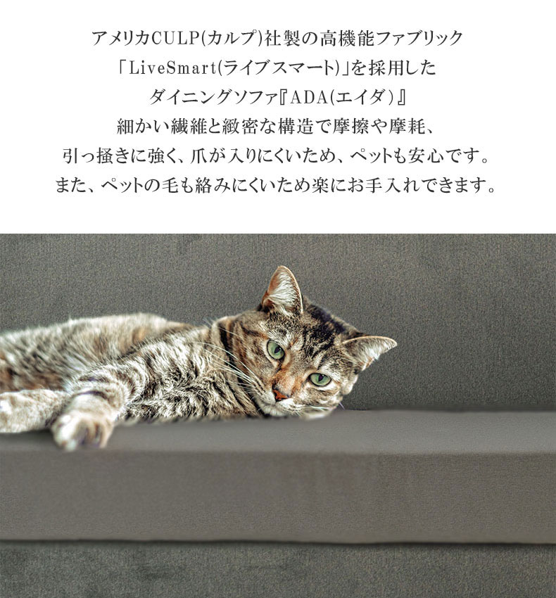 LD 2Pソファ＋ベンチ＋クッション 4点セット エイダ