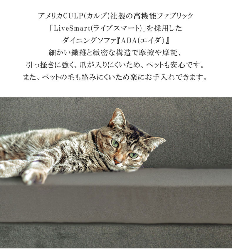 LD 2Pソファ＋カウチ＋クッション 4点セット エイダ