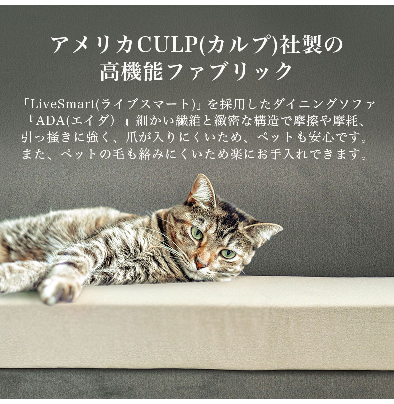 LD 6点セット エイダの機能
