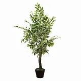 グリーン・フラワー