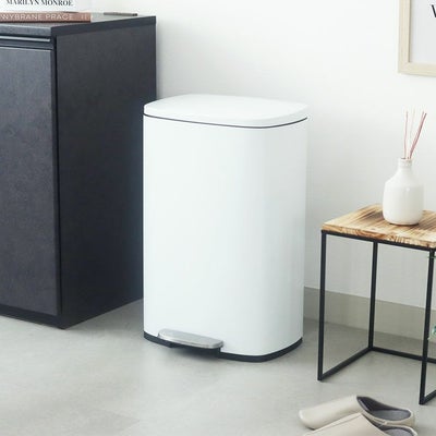 50Ｌ ダストボックス ホワイトフラットランドのサムネイル