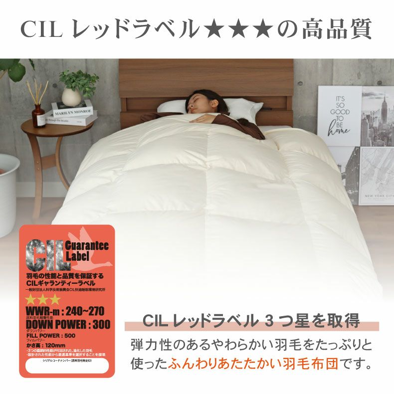 送料無料】 ダブルロング 羽毛掛け布団 マナダウン 国産 抗菌 消臭 WDD85