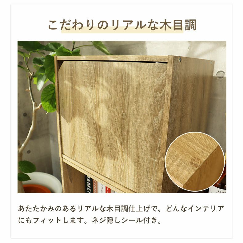 扉付きブロックシェルフ モジュール