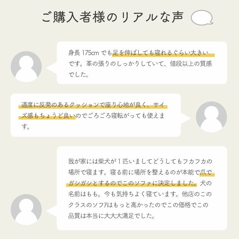 3人掛け ソファ｜バロン ハイバック 傷に強い