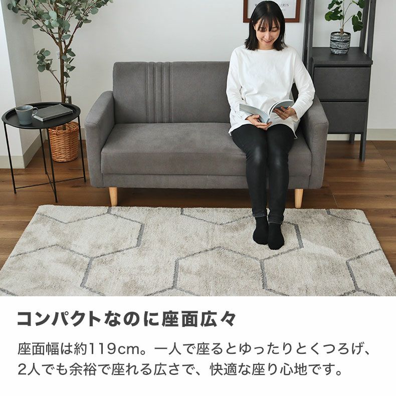 2人掛け ソファー コンパクト ロータイプ ハル